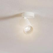 Nowodvorski Lighting Takspotlight Mono I vit, inre guld, 1 lampa
