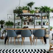 Nowodvorski Lighting Hänglampa Plant med avställningsyta, svart
