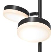 Maytoni Fad LED-golvlampa med dimmer, vridbar