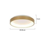 Steinhauer Ringlede LED taklampa, guld, höjd 6 cm, Ø 28 cm