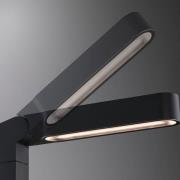 Paulmann Plug & Shine LED-väglampa Ito projektor, vertikal, IP65