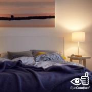 Philips LED-kylskåpslampa E14 1,7 W 2 700 K 150 lm