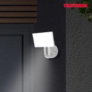 Telefunken LED-utomhusvägglampa Cristo med sensor, silver