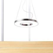 Waldmann LED-hänglampa Vivaa Ring VTL C 600 DALI CCT