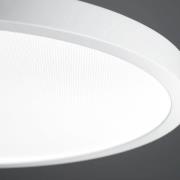 Waldmann LED-pendellampa VIVAA 2.0 Ø45cm kabel vit 4 000K