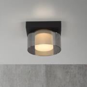Paul Neuhaus LED-taklampa Rika, Ø 15 cm, glas, dimbar