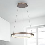Paul Neuhaus LED-hänglampa Hoop, brun, Ø 57 cm, dimbar
