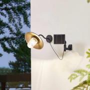 Lindby LED-solcellslampa Virane, svart, aluminium