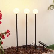 Lindby LED-solcellslampa Brindley, 3-pack, svart, glas