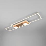 Trio Lighting Albany LED-taklampa, brun, 100 x 28 cm, aluminium, CCT d...