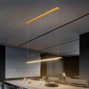 Quitani Talon LED-pendellampa mässing anodiserad 24W