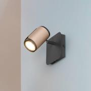 Trio Lighting Takspotlight Gillan, kaffe, 1 lampa, metall, GU10