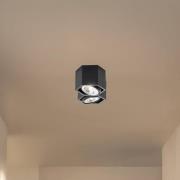 Euluna Taklampa Elvas svängbar 2 lampor svart