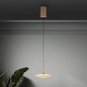 Paul Neuhaus LED-hänglampa Elipsa, 1 lampa, vit/brons