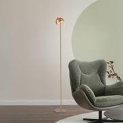Schöner Wohnen LED-batteridriven golvlampa Bellies, guldfärgad, IP54
