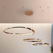 Schuller Valencia LED-hänglampa Orbitas, längd 185 cm, guldfärgad, met...