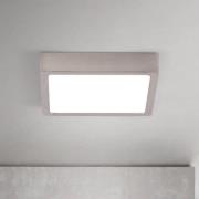 ORION LED-taklampa Disc nickelfärgad satinerad, längd 14 cm CCT