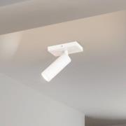 Arcchio takspotlight Brinja Slim, vit, 1 lampa, GU10 MR11