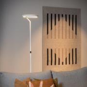 Lucide LED-golvlampa Celeste, vit, höjd 174 cm, metall