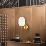 Eko-Light Vägglampa Alias, metall guldfärgad, opalglas, 1 lampa