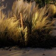 Wever & Ducré Lighting WEVER & DUCÉ LED-markspettslampa Reed 2.0 brons...