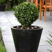 EGLO LED markbelysning Spinetoli 2, set om 6 med markspett