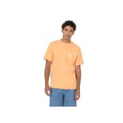 Dickies T-Shirt med Grafiskt Tryck Orange, Herr