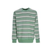 Dickies Streetwear Sweatshirts Green, Herr