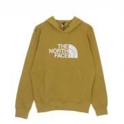 The North Face lätt hoodie Brown, Herr