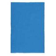 Alberta Ferretti Silky Scarves Blue, Dam