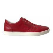 Dolce & Gabbana Röda Läder Låga Sneakers Red, Herr