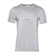 Saint Laurent Logo T-shirt Gray, Herr