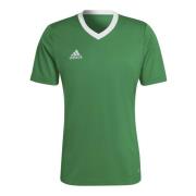 Adidas T-Shirts Green, Herr