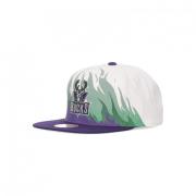 Mitchell & Ness NBA Hot Fire HWC Keps Multicolor, Herr