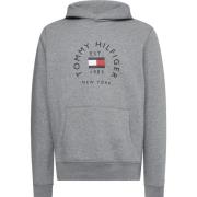 Tommy Hilfiger Grå Tröja med Felpa Stil Gray, Herr