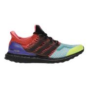 Adidas Begränsad upplaga Ultra Boost DNA What Multicolor, Herr