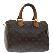 Louis Vuitton Vintage Pre-owned Canvas handvskor Brown, Dam