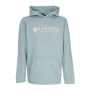 Columbia Basic Logo Hoodie Stone Blue Blue, Herr