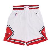 Nike Chicago Bulls Basketshorts Multicolor, Herr