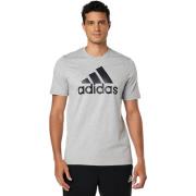 Adidas Essential Big Logo Grå Sport T-shirt Gray, Herr