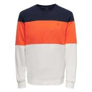 Only & Sons Onsodis Hoodie Multicolor, Herr