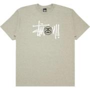 Stüssy Grå Basic Logo Stock Tee Gray, Herr