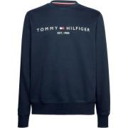 Tommy Hilfiger Blå Ekologisk Bomullströja Blue, Herr