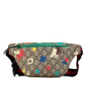 Gucci Vintage Pre-owned Canvas crossbodyvskor Multicolor, Dam