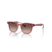 Ray-Ban Klassiska solglasögon Brown, Unisex