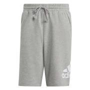 Adidas Must Haves Bosshortft Shorts Gray, Herr