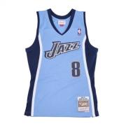 Mitchell & Ness Basket Jersey NBA Alternate Hardwood Classics No 8 Der...