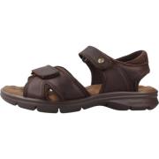 Panama Jack Platta sandaler med klisterremmar Brown, Herr