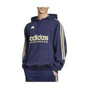 Adidas Klassisk Hoodie Modell Blue, Herr