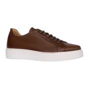 Exton Brun lädersneaker elegant stil Brown, Herr